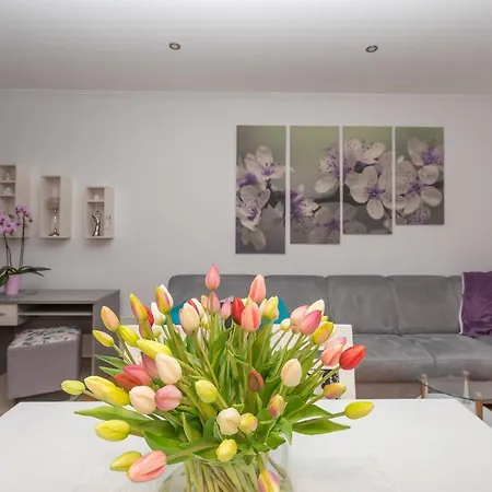 Long Apartment *